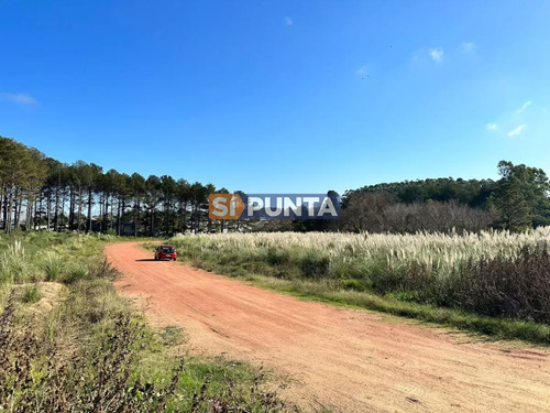 Terreno En Venta -  Altos De La Laguna