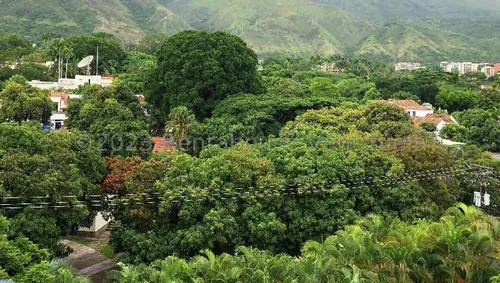 Penthouse En Venta Los Chorros