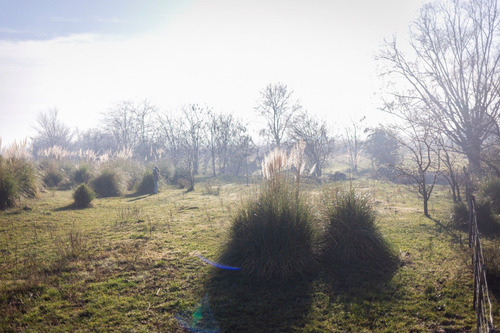 Campo En Venta En Pilar. Zona Champagnat