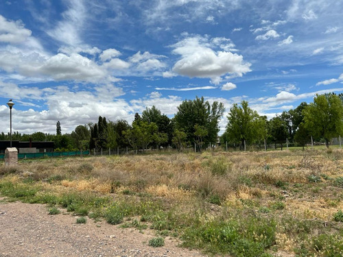 Imagen 5 de 11 de Venta Terreno 600 Mts Las Catalpas