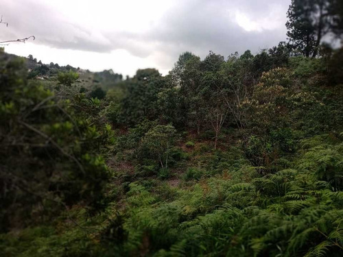 Imagen 10 de 13 de Lote Guarne En Venta A 900 Mts De La Variante Aerp Jmc 3.200 Mts ²