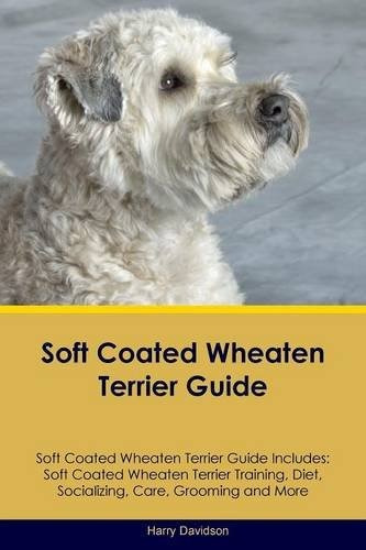 Soft Coated Wheaten Terrier Guide Soft Coated Wheaten Terrie