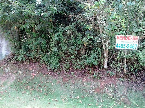 Imagem 2 de 4 de Terreno Em Serra Da Cantareira - São Paulo, Sp - 148539