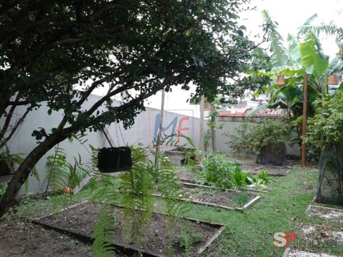 Imagem 8 de 16 de Ref 8938 - Excelente Casa Assobradada Na Vila Paranaguá, Ermelino Matarazzo 4 Dorms, 6 Vgs, 460 M. Bom P/ Clinicas E Comércios Em Geral ! - 8938