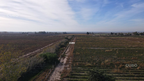 47 Hectareas De Campo Con Gran Frente En Ruta Nacional 40 (acceso Sur) Ugarteche Lujan De Cuyo
