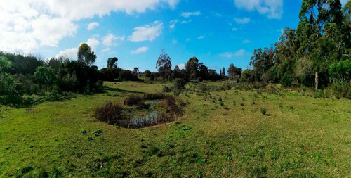 Venta De Chacra 4 Hectáreas Y Casa En Los Titanes