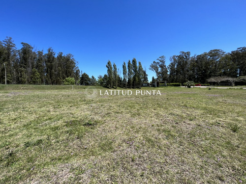 Terreno Apto Terrenos Comerciales O Vivienda En Zona De Crecimiento