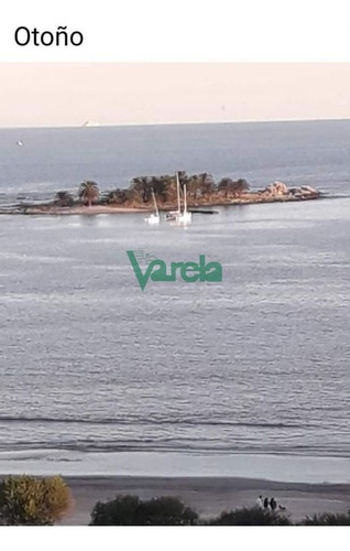 Imagen 5 de 13 de Excelente Apartamento Malvín 2 Dorm Sobre Rambla Vista Al Mar - Montevideo Malvin