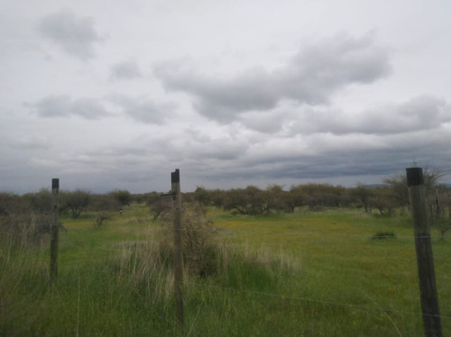 Se Vende Sitio Cauquenes
