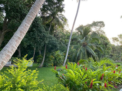 Lotes Venta Fraccionamiento Arboledas Del Río 600 M² Tuxpan Veracruz