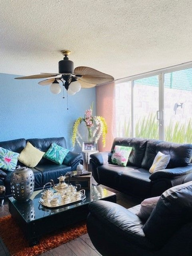 Imagen 5 de 28 de Venta Casa En San Bernabé, Magdalena Contreras