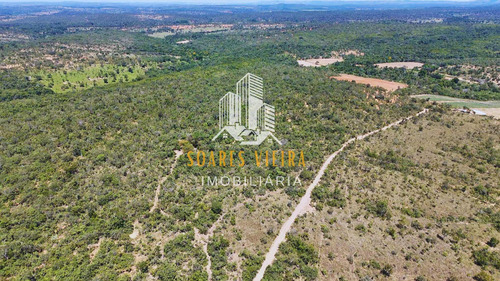 Fazenda Com 685 Hectares À Venda Em Jequitiba / Cordisburgo