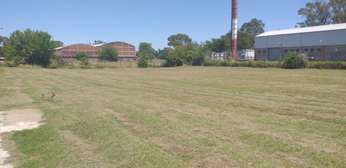 Imagen 3 de 4 de Terreno Industrial 3200 M2 - Villa Rosa Pilar