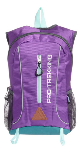 Mochila Pro Trekking Lsyd Deportiva Urbana Viaje Reforzada Color Lila | Modelo 91.24138