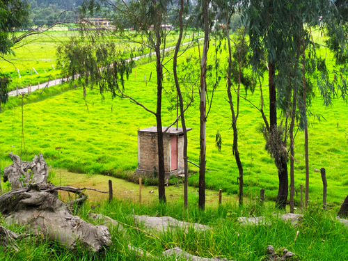 Vendo Finca Ganadera. 26 Fanegadas. Cucunubá Cundinamarca