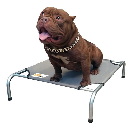 Catre Cama Elevada Desarmable Para Mascota Raza Mediana Color Gris