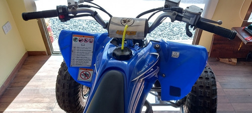 Imagen 3 de 22 de Yamaha Raptor 250