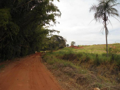 Imagem 4 de 10 de Sítios - Ref: V3116