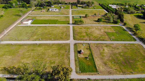 Terreno En Manzanares - Lomas De Manzanares