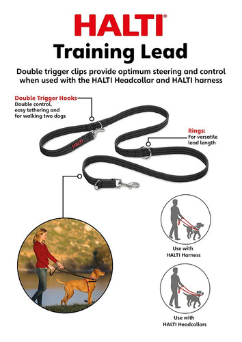 La Principal Compañía De Los Animales Del Entrenamiento Del