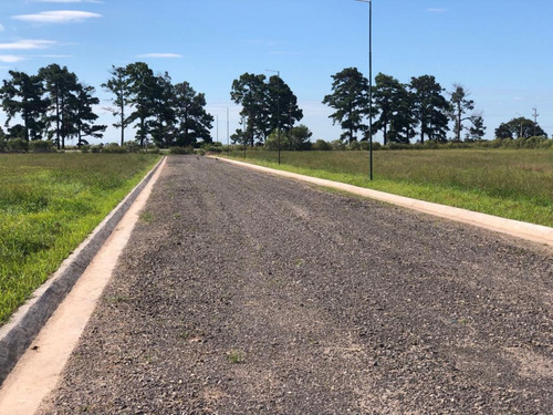 Terreno En Venta En Arcos De Andino - Posesión Y Escritura Inmediata