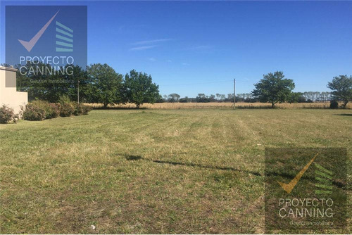 Imagen 5 de 7 de Terreno En Venta En Miramar