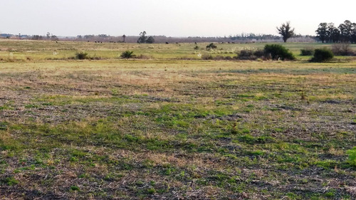 Campo 57 Hectareas Con Arroyo En Canelones