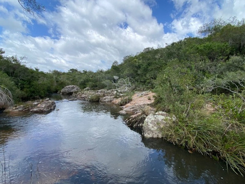 Imagen 1 de 30 de 7 Chacras De 5 Has Cada Una A 20 Km De Aigua Por Ruta 39 - Consulte !!!!!