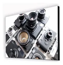 Comprar Cuadro De Camaras Fotograficas Antiguas Y De Colección
