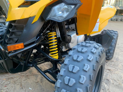 Can-am Ds 250
