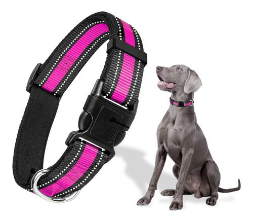 Collar Reflejante Para Perros Con Broche Seguridad Ajustable Color Rosa Tamaño del collar Grande G/L
