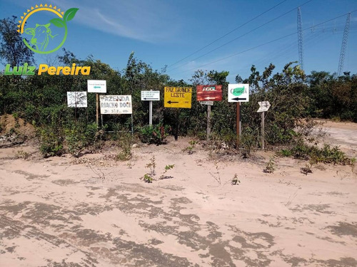 Imagem 6 de 6 de Fazenda Á Venda Em São Desidério - Ba - De 10.204 Hectares (lavoura) - 1765