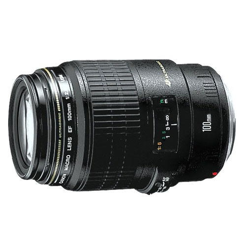 Lente Canon Ef 100mm F2.8 Usm Macro Aps-c Y Full Frame 