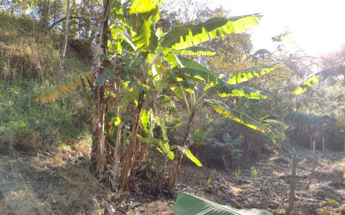 Imagem 5 de 5 de Terreno, Estância Figueira Branca - Campo Limpo Paulista/sp