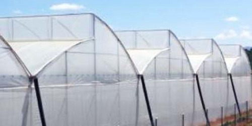 Imagen 6 de 8 de Malla Antiafido Cristal 3.65 M Ancho X 1 M Largo (40x26)