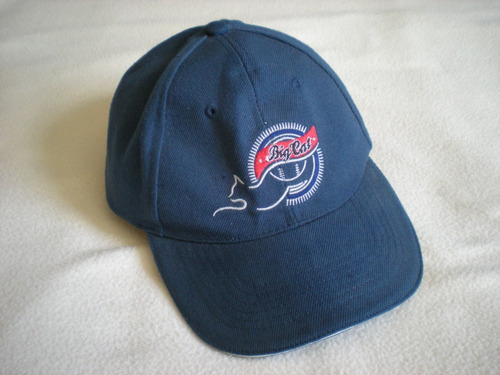 Gorra Azul Big Cat Gato Andres Galarraga 