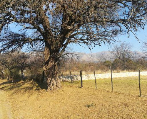 Terreno De 1,7 Hectáreas Las Calles Traslasierra (ref 185)