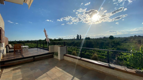 Venta | Bodega Con Viñedo | Maipú, Mendoza