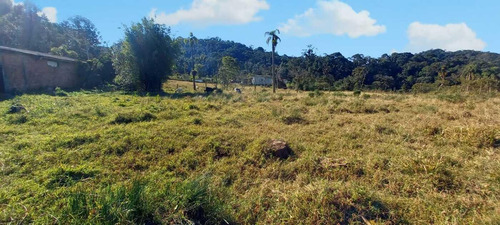 Imagem 7 de 11 de Sítio / Chácara Para Venda Em São José Dos Pinhais, Área Rural De São José Dos Pinhais, 4 Dormitórios, 1 Banheiro, 3 Vagas - 83_2-1228533