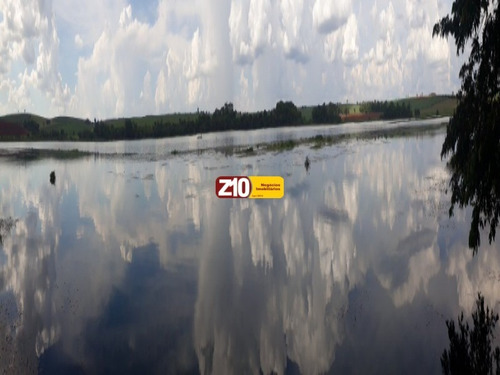 Imagem 3 de 18 de Sitio Para Venda Em Bauru Boracéia - Na Z10 Imóveis - Indaiatuba /sp - St00209 - 69350414