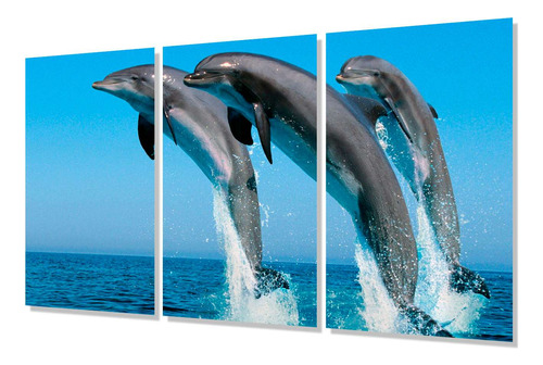 Cuadro Trip 60x90 Delfines Mar Salto Salpicando Agua