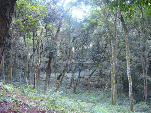 Imagem 7 de 11 de Terreno À Venda, 1472 M² 0 - Granja Viana - Carapicuíba/sp - Te9125