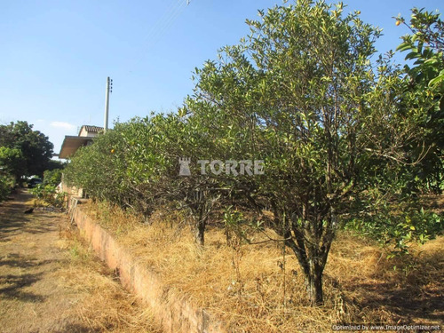 Imagem 13 de 20 de Chácara À Venda Em Macuco - Ch002532