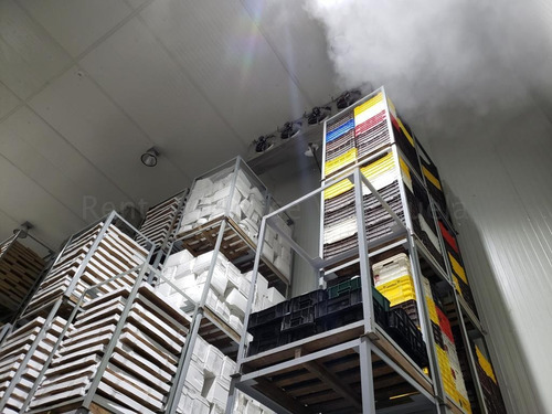 Imagen 3 de 13 de Procesadora Y Exportadora De Alimentos En Venta Para Inversionistas