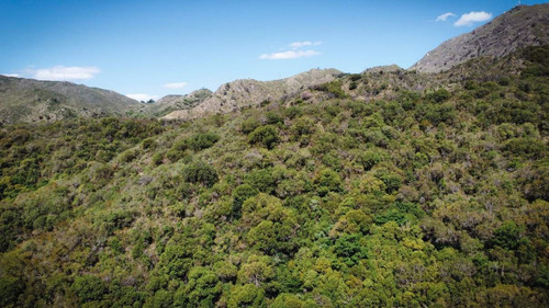 Imagen 22 de 28 de Se Venden 148 Ha De Terreno En Cerro Pan De Azúcar