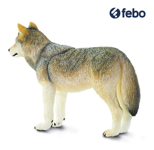 zorro perro 1:10 escala 1:12 Figura de Acción Accesorios Casa De Muñecas Cráneo de animales lobo