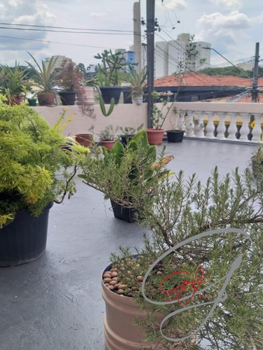 Imagem 3 de 9 de Casa Na Vila São Francisco 2 Dormitórios - Ca00490 - 69319066