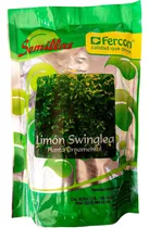 Comprar Semillas Limón Swinglea Limoncillo  Cerca Viva 