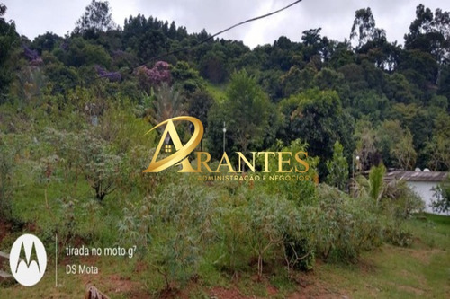 Imagem 19 de 19 de Chacara - Ch00370 - 70798734