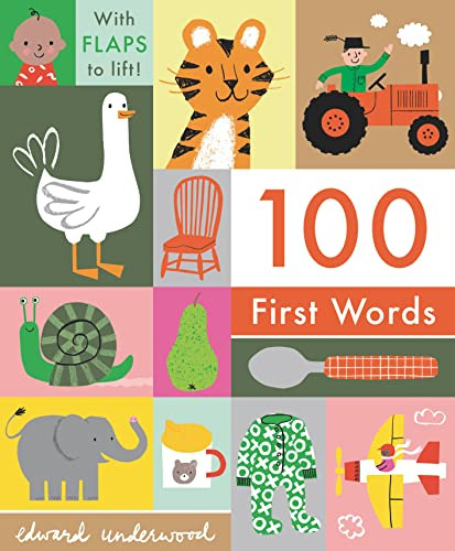 Book : 100 First Words - Underwood, Edward